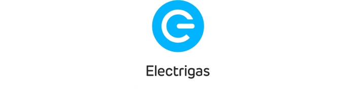 www.electrigasltd.co.uk Logo